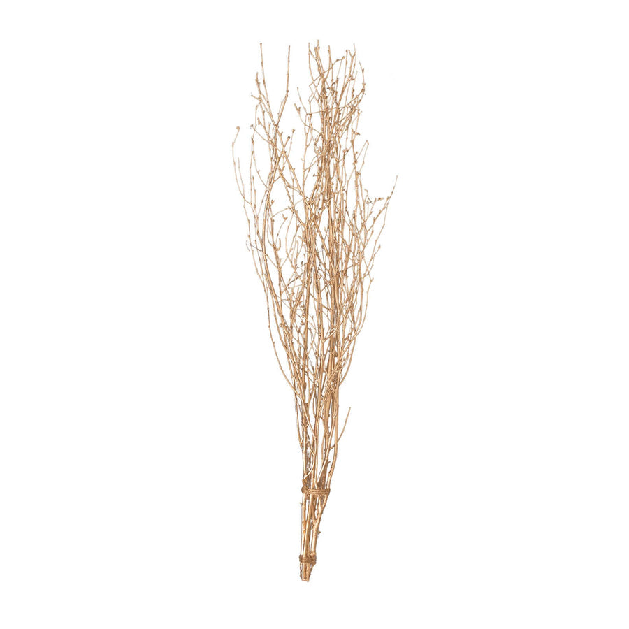 Rental | golden willow branch (1) for tall vase