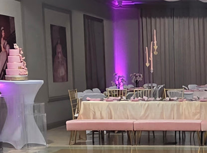 Rental | pink & gold bench