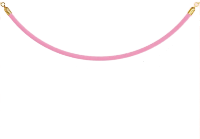 Rental | pink velvet rope for stanchion