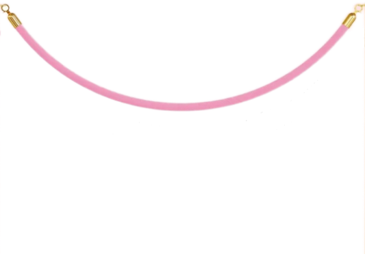 Rental | pink velvet rope for stanchion