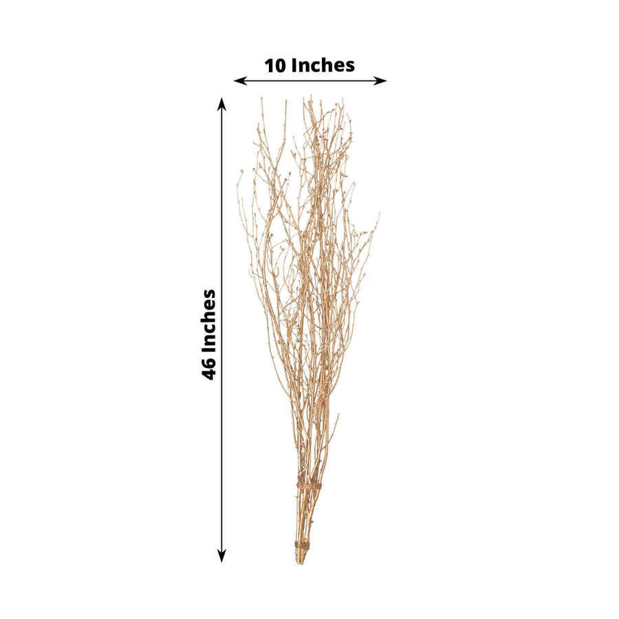 Rental | golden willow branch (1) for tall vase