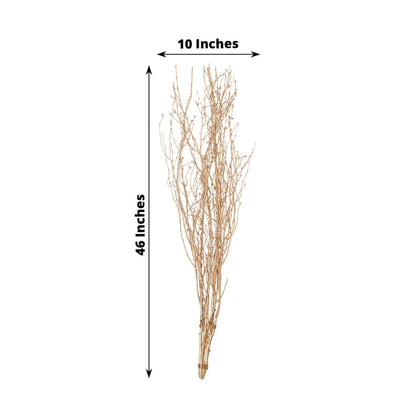 Rental | golden willow branch (1) for tall vase