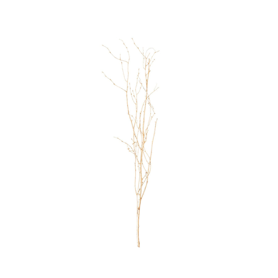 Rental | golden willow branch (1) for tall vase