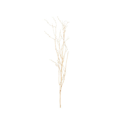 Rental | golden willow branch (1) for tall vase