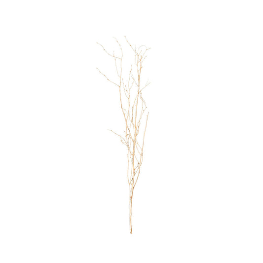 Rental | golden willow branch (1) for tall vase