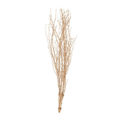 Rental | golden willow branch (1) for tall vase